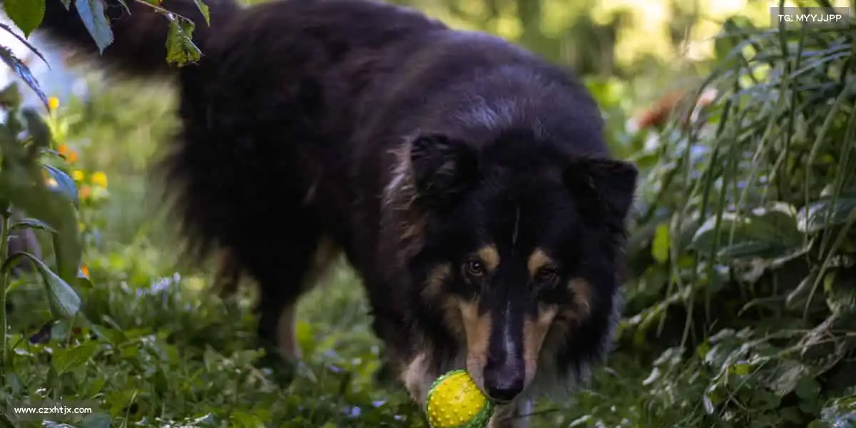 milan米兰🏹瞄准靶心,专注成就每一次命中!